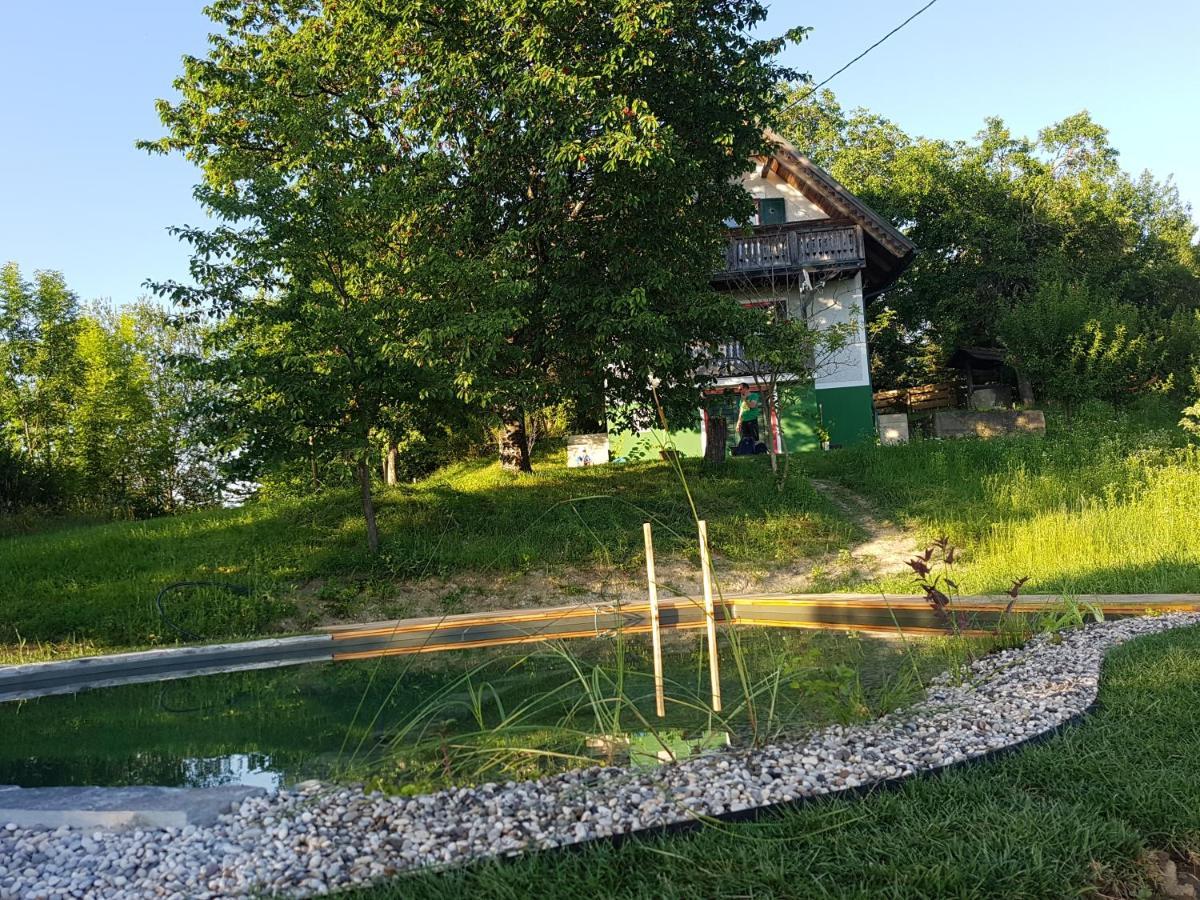 Holiday Home Sonnenhaus Svecina Ngoại thất bức ảnh